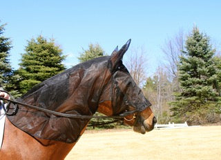 Equus Fly Veil - Original Design