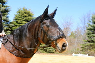 Equus Fly Veil - Original Design